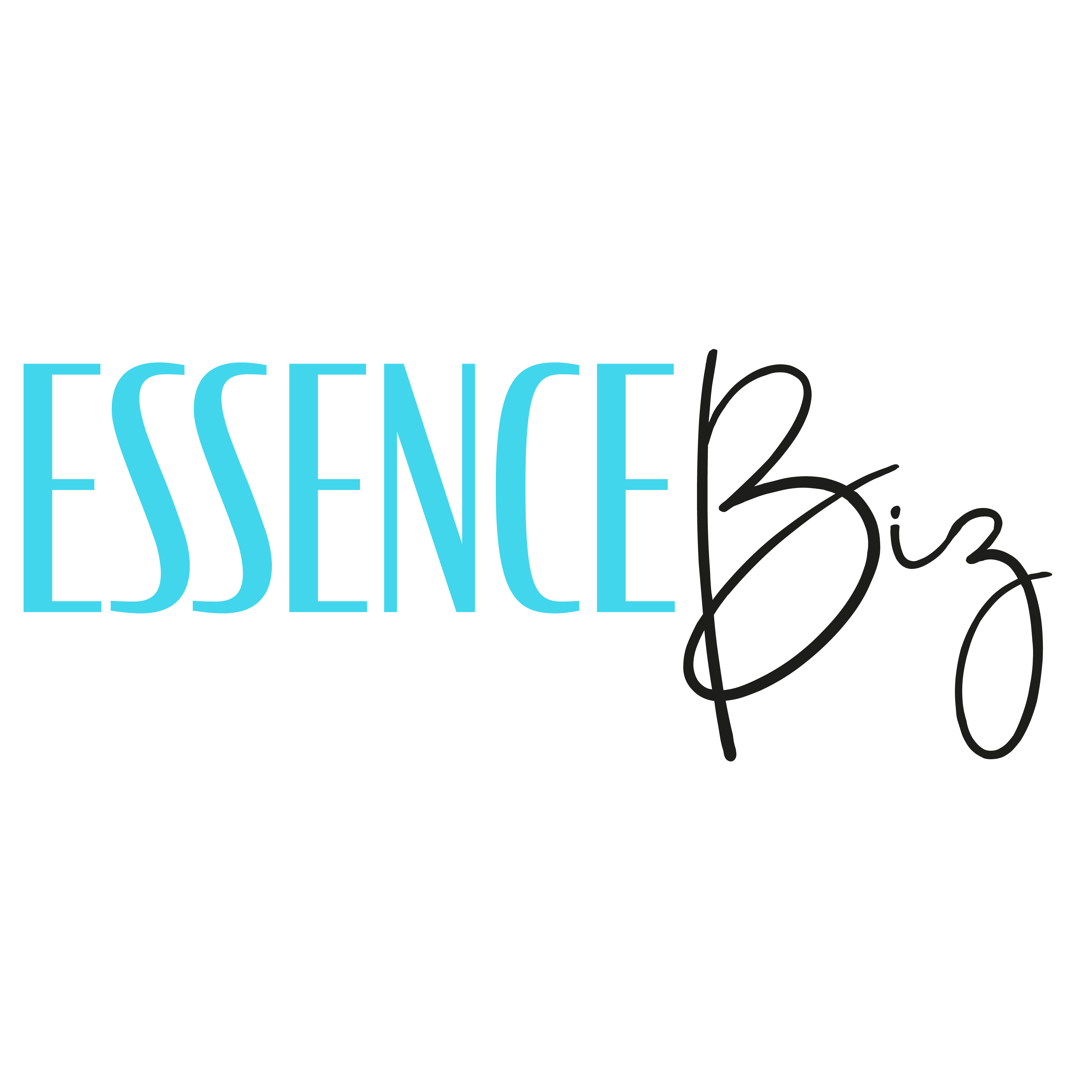 logo da empresa essence Biz como organizadora do evento.